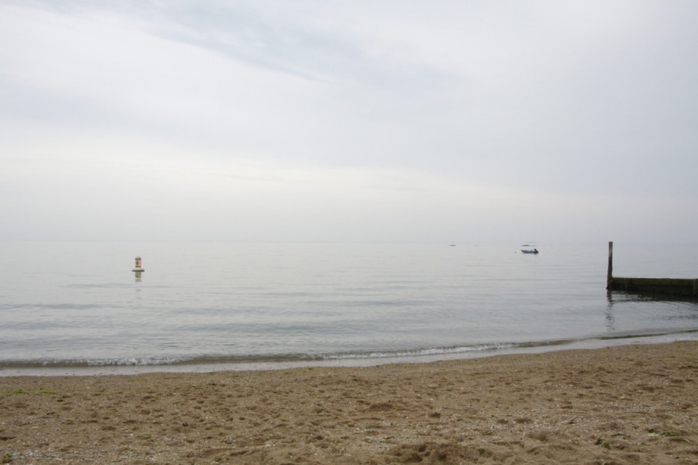 Scranton Seahorse Inn Scranton Seahorse Inn