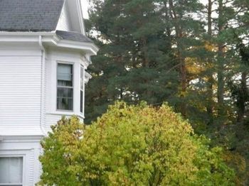Lindsay House Bed & Breakfast Lindsay House Bed & Breakfast