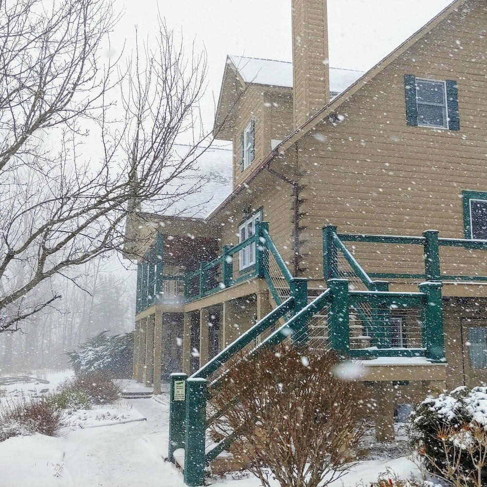 Greenwoods B And B Inn 