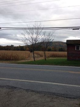 Silver Maple Lodge & Cottages 