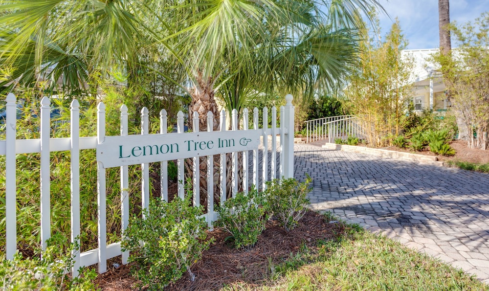 Lemon Tree Inn Lemon Tree Inn